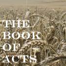 A New Focus and Concern for the Steadfastness and Spirtual Strength of the Churches