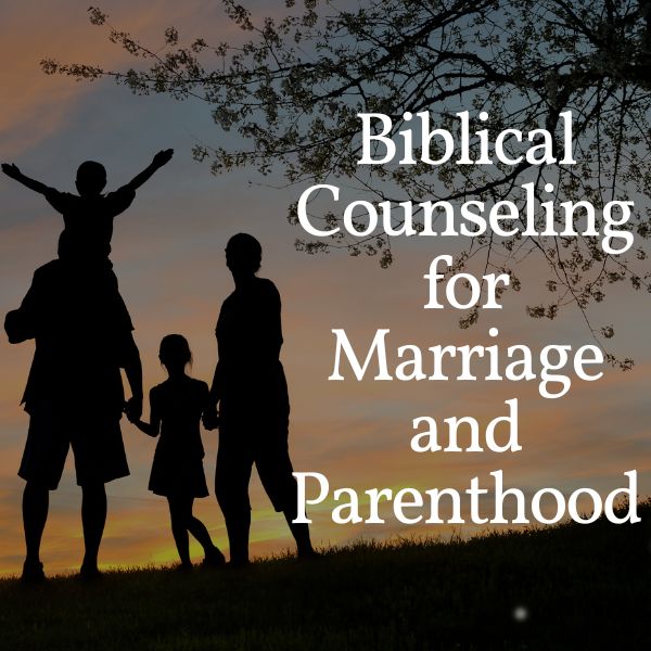Lesson 13: Biblical Counseling Q & A